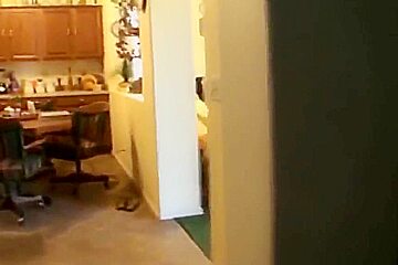 +++ CHARLIE COOPER BBW NATURAL TITS +++ (2)