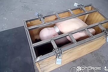 Box And Lunch