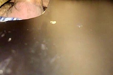 Gloryhole Anonymous Breed