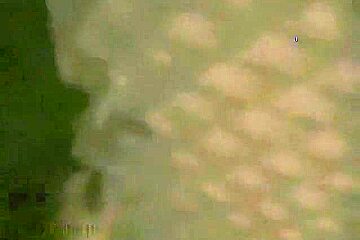 I Receive A Big Facial In The Amateur Oral Sex Clip