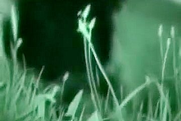 Spying On My Friend Outdoors Having Sex With His Girlfriend