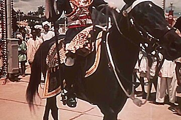 Cruel Maharaja Ritual