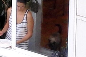 Sexy Bird In The Window Making Cereal Wearing A Thong