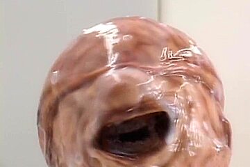 Live Acme Alien (2)
