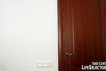 The Dildo Agent   LifeSelector