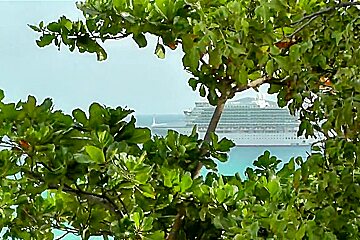 UK Couples Outdoor Caribbean Fuck Blowjob