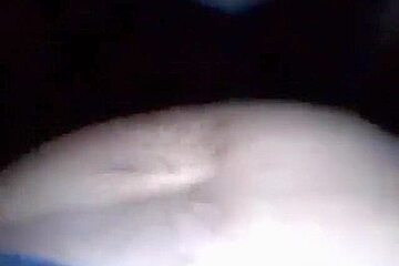 Brunette Girl Has Pov Upskirt Oral, Doggystyle And Missionary Sex.