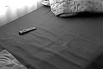 Films Loving Pair Having Carnal Sex